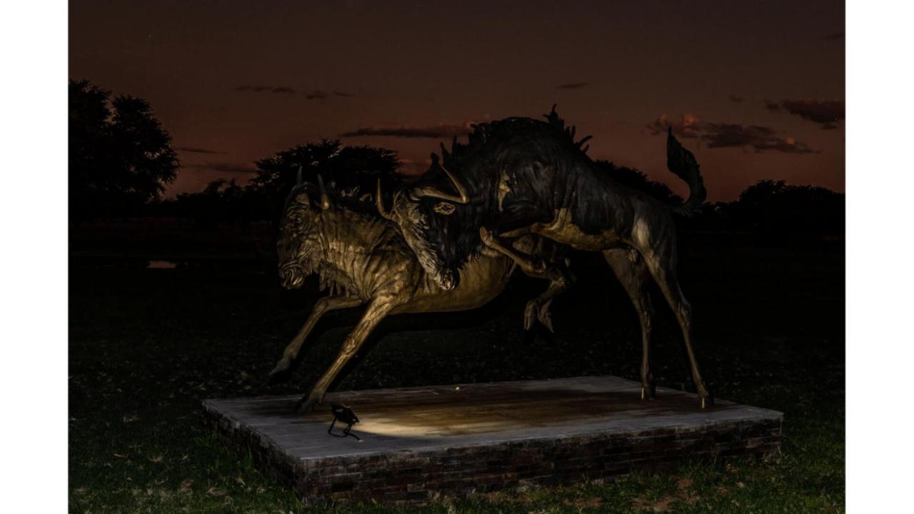 Sandune Game Lodge Gobabis Eksteriør billede